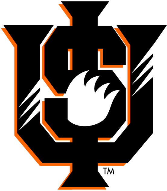 Idaho State Bengals 1997-2018 Alternate Logo diy DTF decal sticker